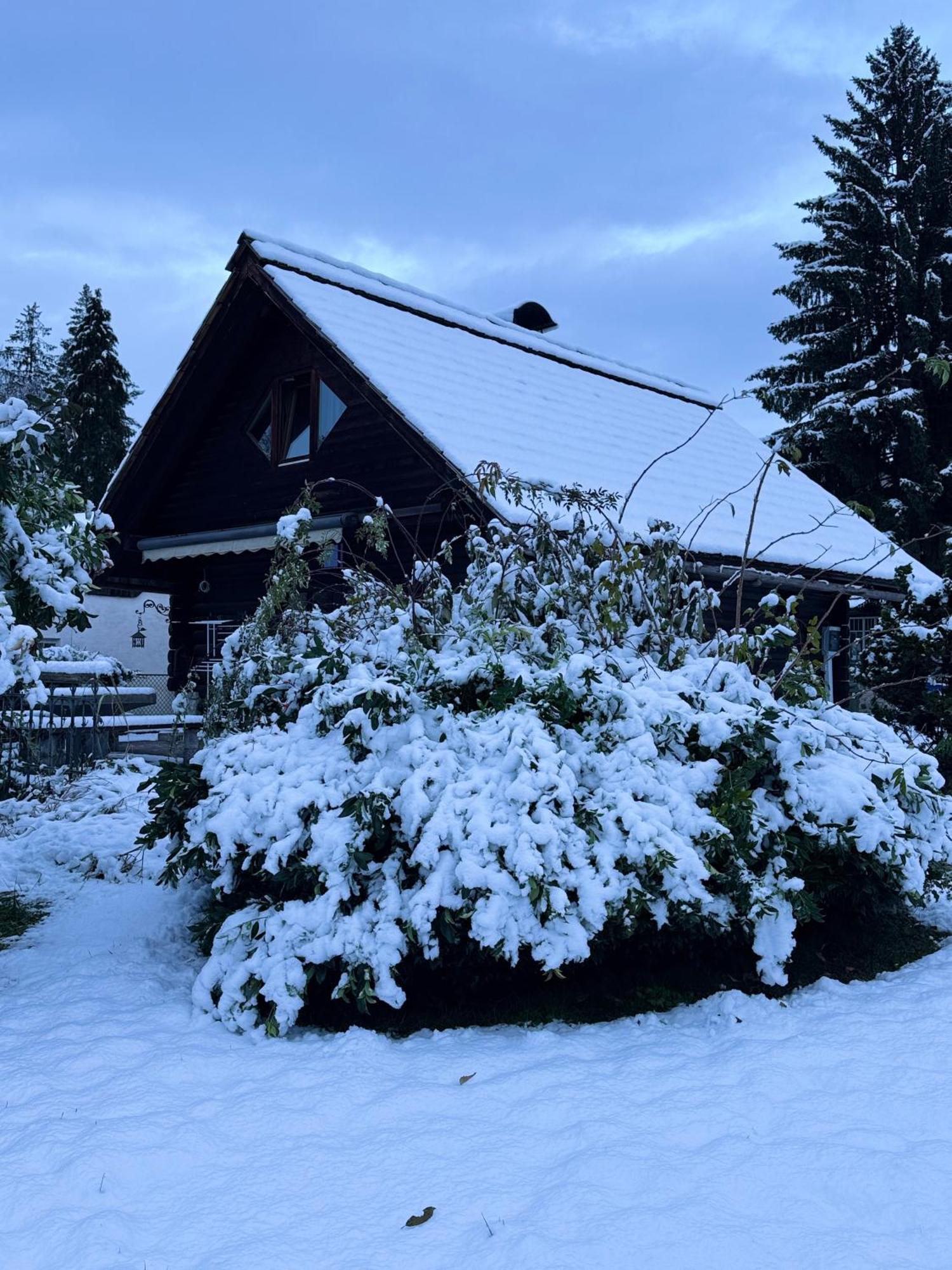 Alice Chalet Bled - Adults Only Exterior photo
